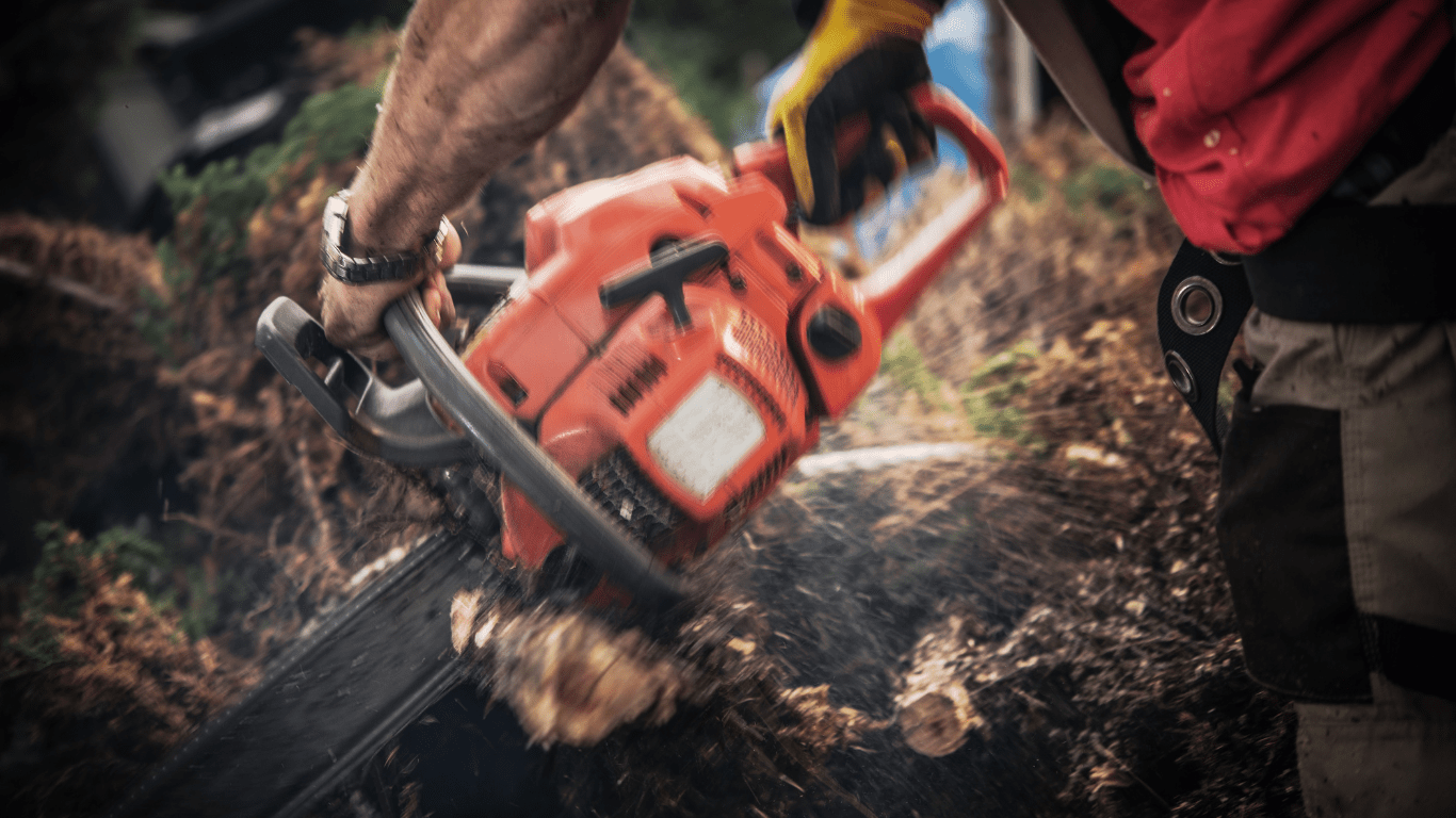 chainsaw being used to remove a tree in the Mason, Ohio area.
